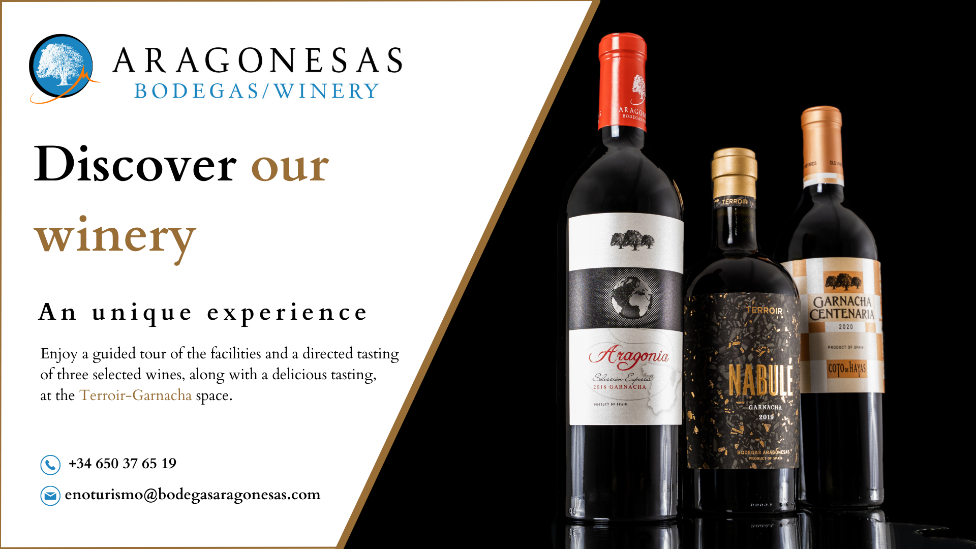 Wine tasting - Bodegas Aragonesas