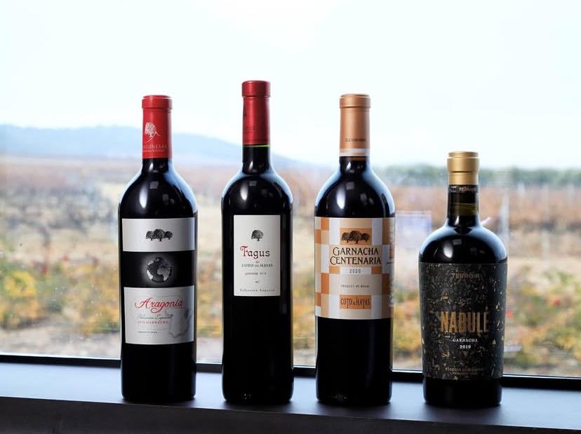 Garnachas de Bodegas Aragonesas
